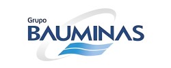 grupo bauminas